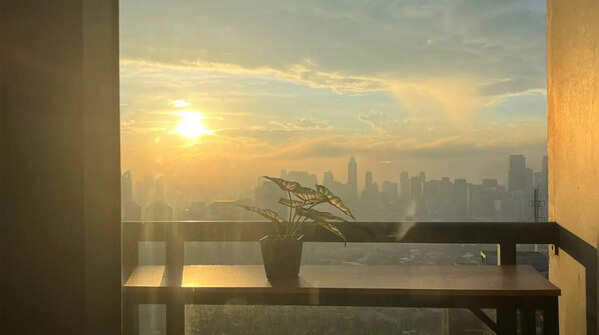 Ensure adequate sunlight