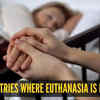 Article image for: Countries where euthanasia is <i class="tbold">Legal</i>