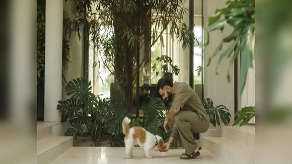 The luxurious Interiors