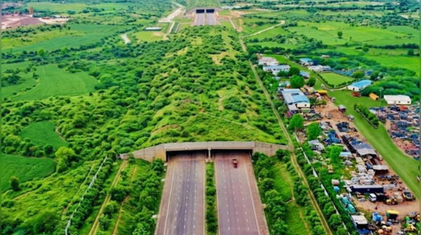 Dedicated wildlife underpass