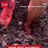 Article image for: Chile’s Harvest Festival ERUPTS! Thousands Sip, Stomp & Celebrate In Wine-Fueled Frenzy | WATCH