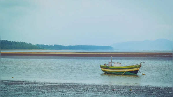 Nagaon
