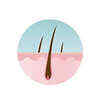 Article image for: Why does DHT cause <i class="tbold">hair loss</i>?
