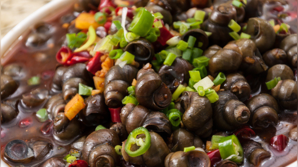 Spicy snail curry