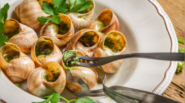 7 delicious snail dishes you need to try at least once