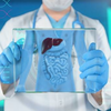 Article image for: How are diabetes and <i class="tbold">liver health</i> connected?