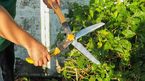 Ensure regular care and maintenance