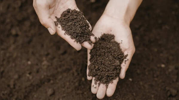 Use quality soil and compost