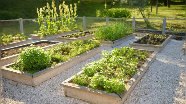 Choose the right location