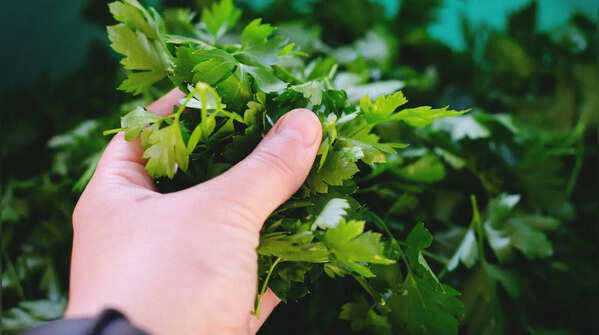 Parsley