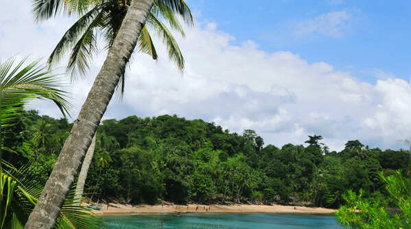 Obo National Park – One of Africa’s smallest but richest rainforests