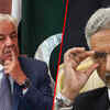 Article image for: 'Family Of Pimps': Pakistan Minister <i class="tbold">khawaja asif</i> Loses Cool At Jaishankar's Alleged 'Dalal' Remark