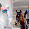 Sheikha Madiya: Adrenaline and Grit in the Desert