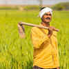 Article image for: Foods that farmer eat to beat the heat