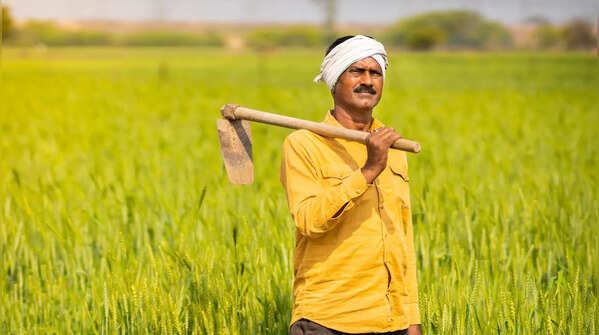 Foods that farmer eat to beat the heat