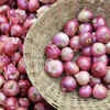 Onion