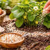 Deter slugs and add calcium with eggshells