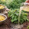 Article image for: Add <i class="tbold">nutrients</i> using pasta or potato water