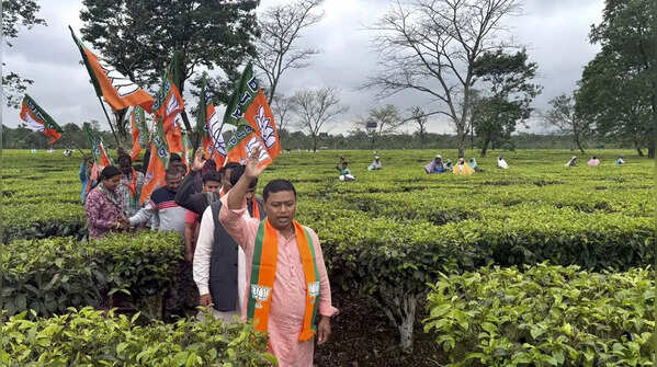 Welfare of Tea Garden Workers & Indigenous Communities
