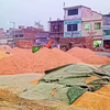Article image for: Punjab grain markets face arhtiya strike from April 1 ahead of wheat harvest season