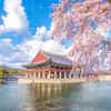 Article image for: The big picture: Why Seoul?