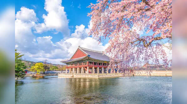 The big picture: Why Seoul?