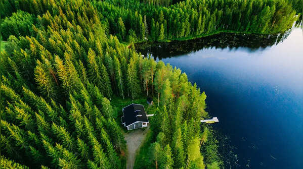 Nature as an everyday experience