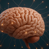 7. It may make the brain more flexible over time