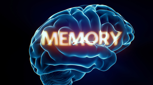 6. It may support memory-related regions