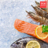 Article image for: Omega-3 vs fish oil for <i class="tbold">hair growth</i>: Which one actually works better?