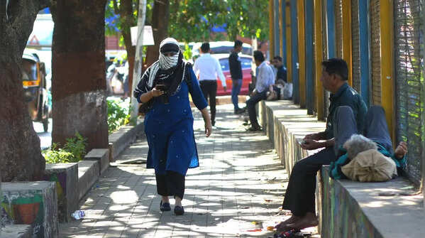 <strong>Central, northwest India to see more heat</strong>