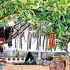 <strong>Summer conditions intensify across coastal AP</strong>
