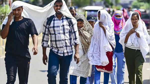 <strong>Maharashtra likely to see mild summer</strong>