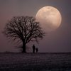 Why this phase can be powerful for manifestation