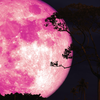 What the Pink Full Moon represents