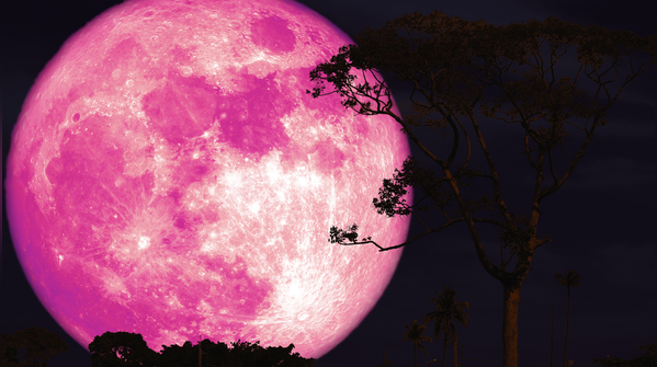 What the Pink Full Moon represents