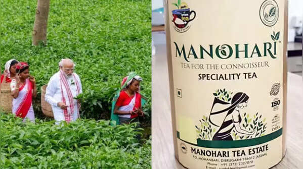 What makes Manohari Tea Estate truly special and unique