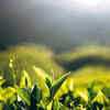 Article image for: Limited production