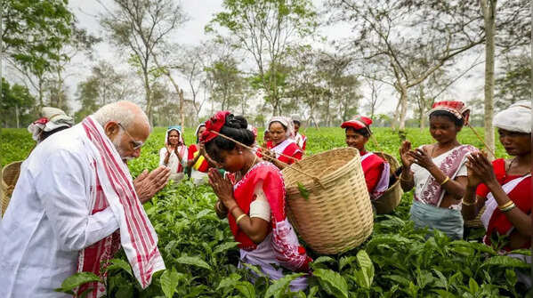 PM Modi in Assam