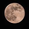 Article image for: Worm <i class="tbold">moon</i> (3 March 2026)