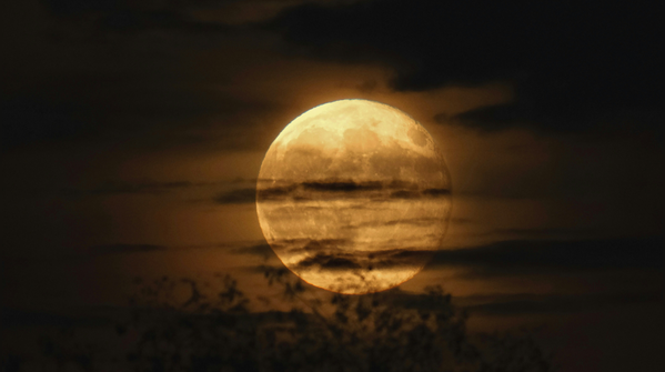 Flower Moon (1 May 2026)
