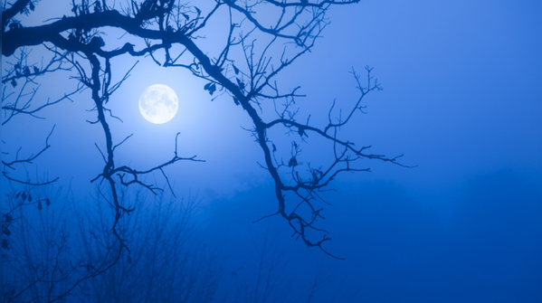 Blue Moon (31 May 2026)