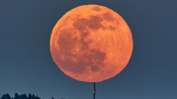 Strawberry Moon (29 June 2026)