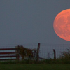 Article image for: Harvest Moon (<i class="tbold">26</i> September 20<i class="tbold">26</i>)