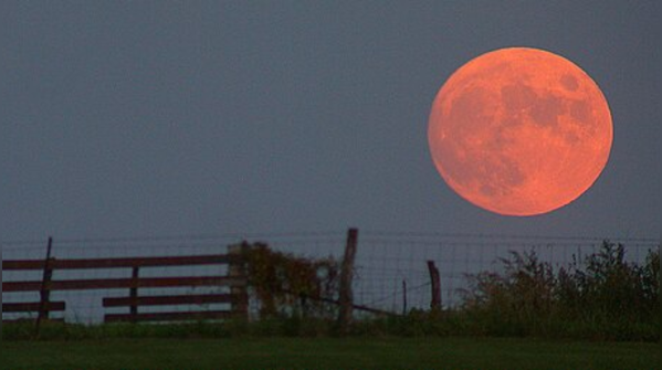 Harvest Moon (26 September 2026)
