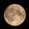 Article image for: Hunter’s Moon (<i class="tbold">26</i> October 20<i class="tbold">26</i>)