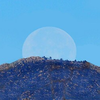 Article image for: Beaver <i class="tbold">moon</i> (24 November 2026)