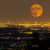 Article image for: Cold <i class="tbold">moon</i> (23 December 2026)