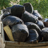 Article image for: Polythene bags and chemical leaching