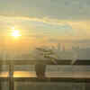 Provide adequate sunlight and location 